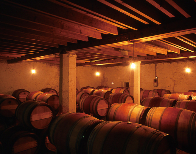 點(diǎn)品牌設(shè)計(jì)