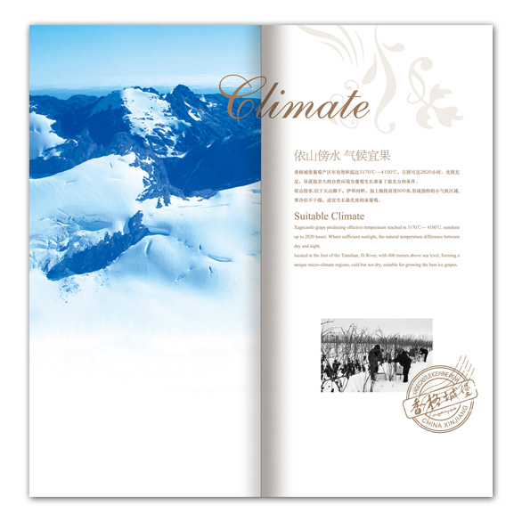 點(diǎn)品牌設(shè)計(jì)