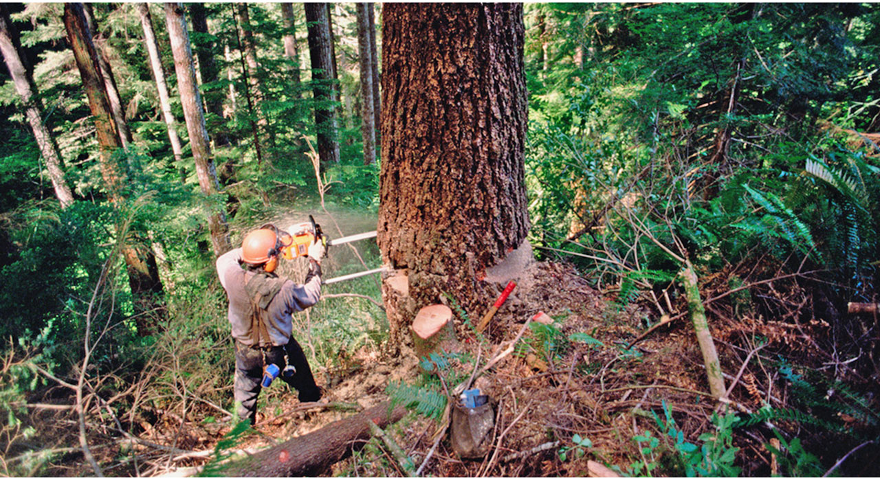點(diǎn)品牌設(shè)計(jì)