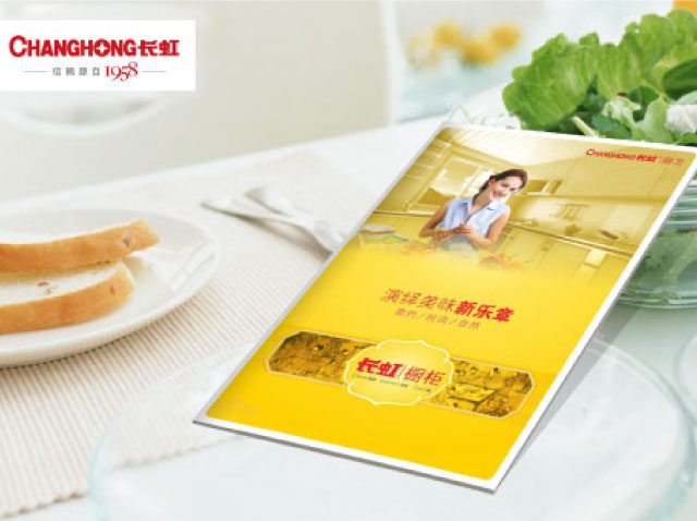 產品畫冊設計-深圳長虹集團