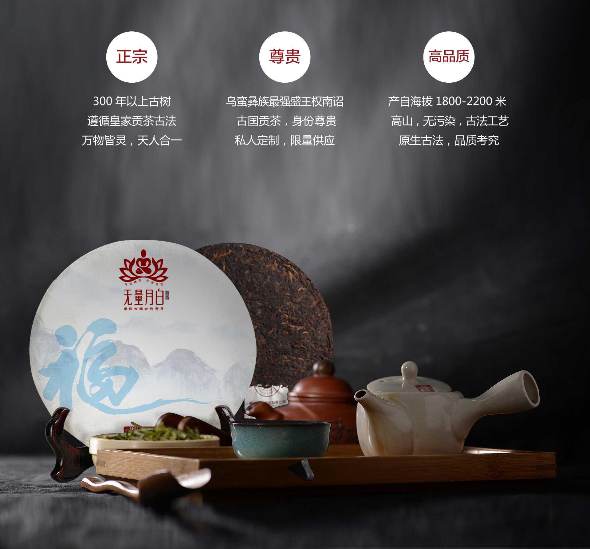 茶葉畫冊設計素材