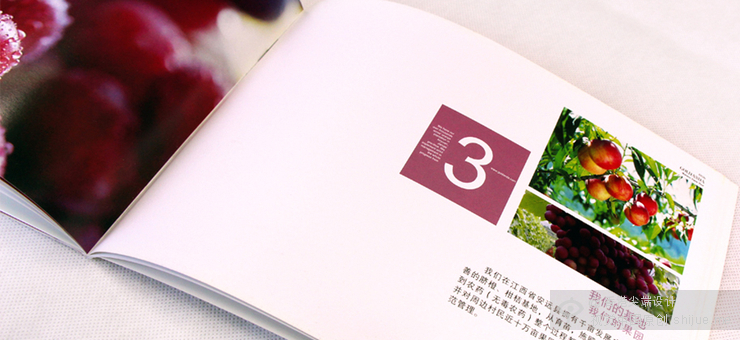 北京畫冊設計印刷設計