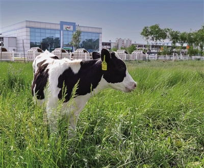 點(diǎn)品牌設(shè)計(jì)