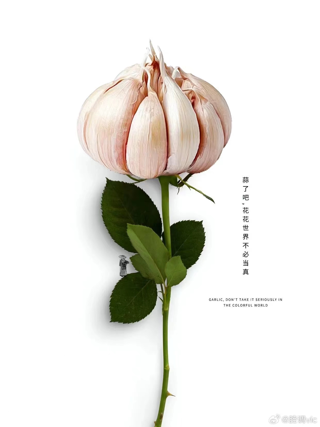 點品牌設(shè)計