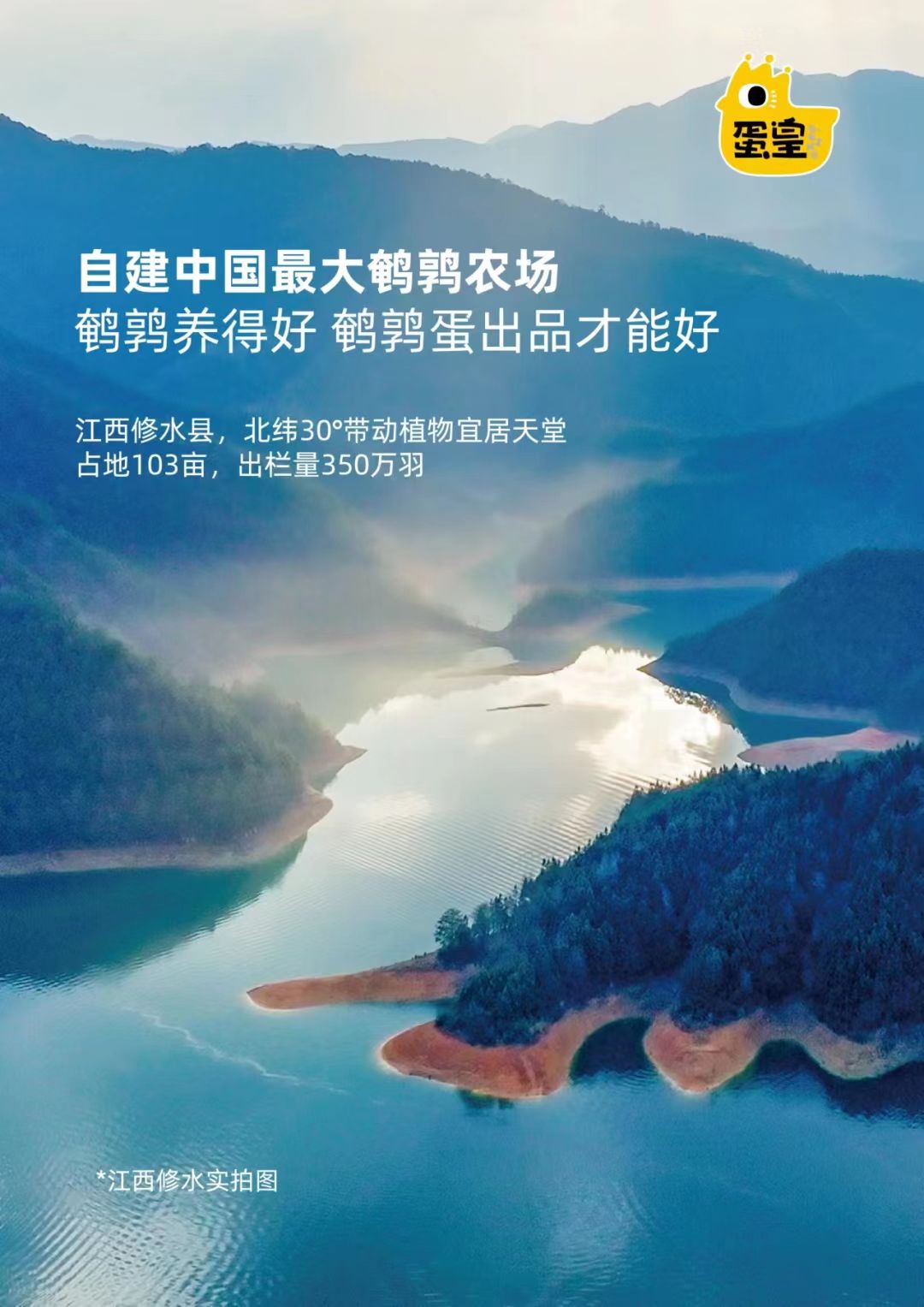 點(diǎn)品牌設(shè)計(jì)