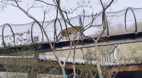 點(diǎn)品牌設(shè)計(jì)