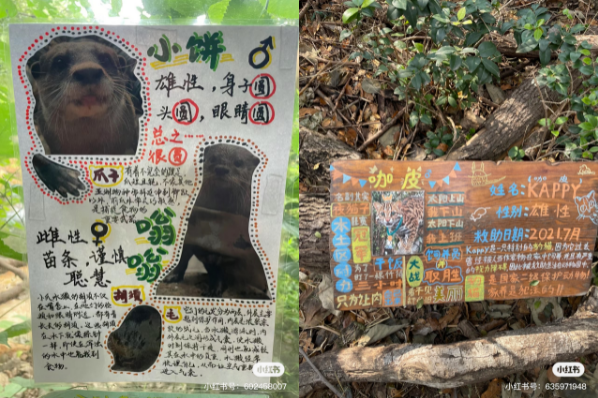 點(diǎn)品牌設(shè)計(jì)