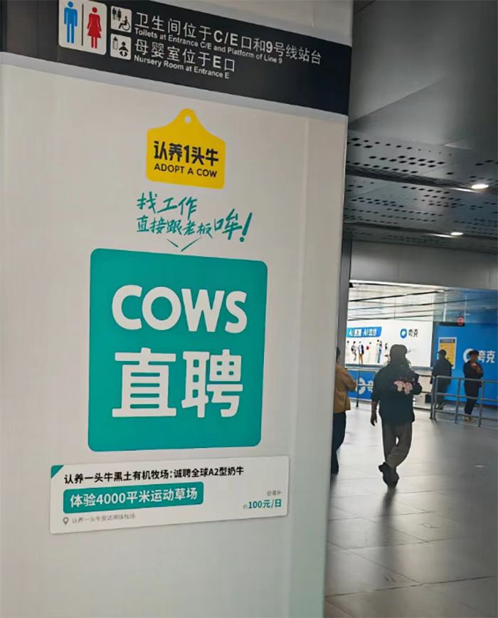 點(diǎn)品牌設(shè)計(jì)