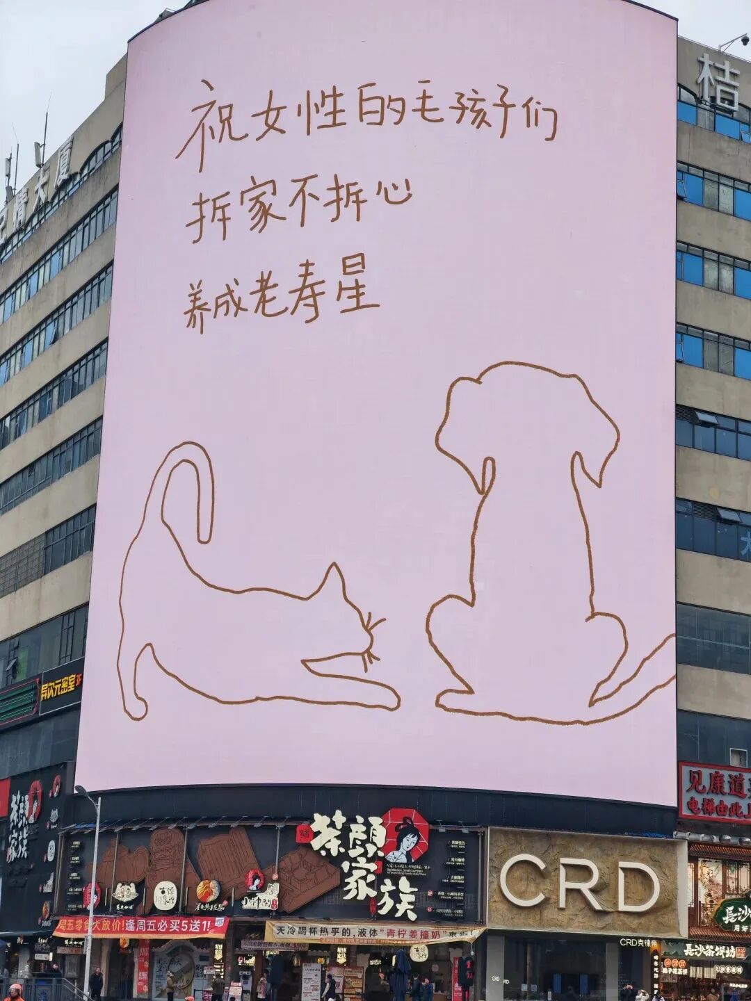 點(diǎn)品牌設(shè)計(jì)