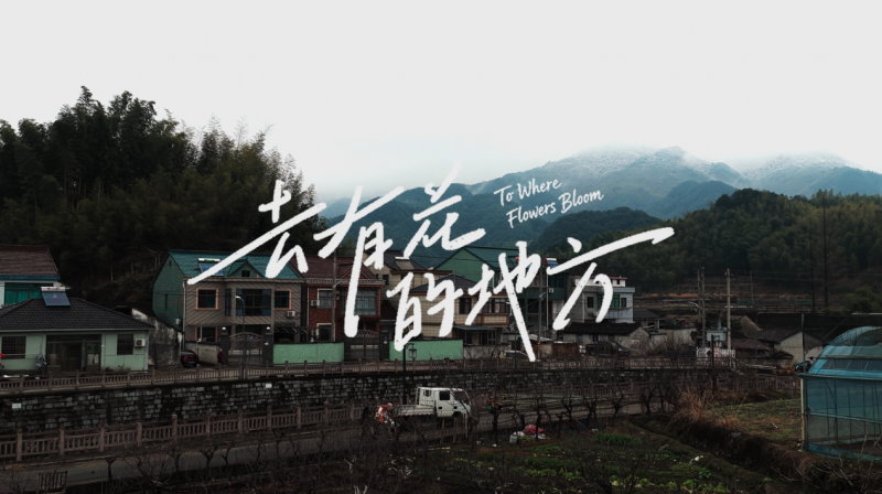 點品牌設(shè)計